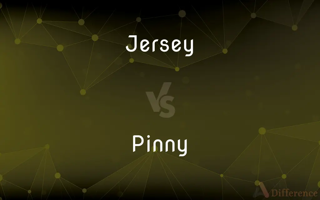 Jersey vs. Pinny — What's the Difference?