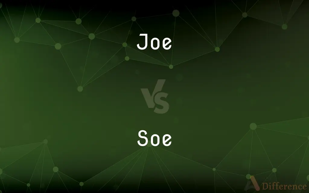 Joe vs. Soe — What's the Difference?