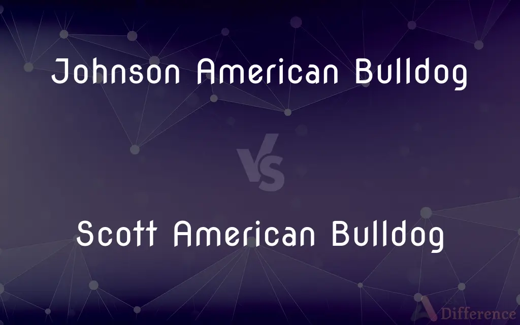 Johnson American Bulldog vs. Scott American Bulldog — What's the Difference?