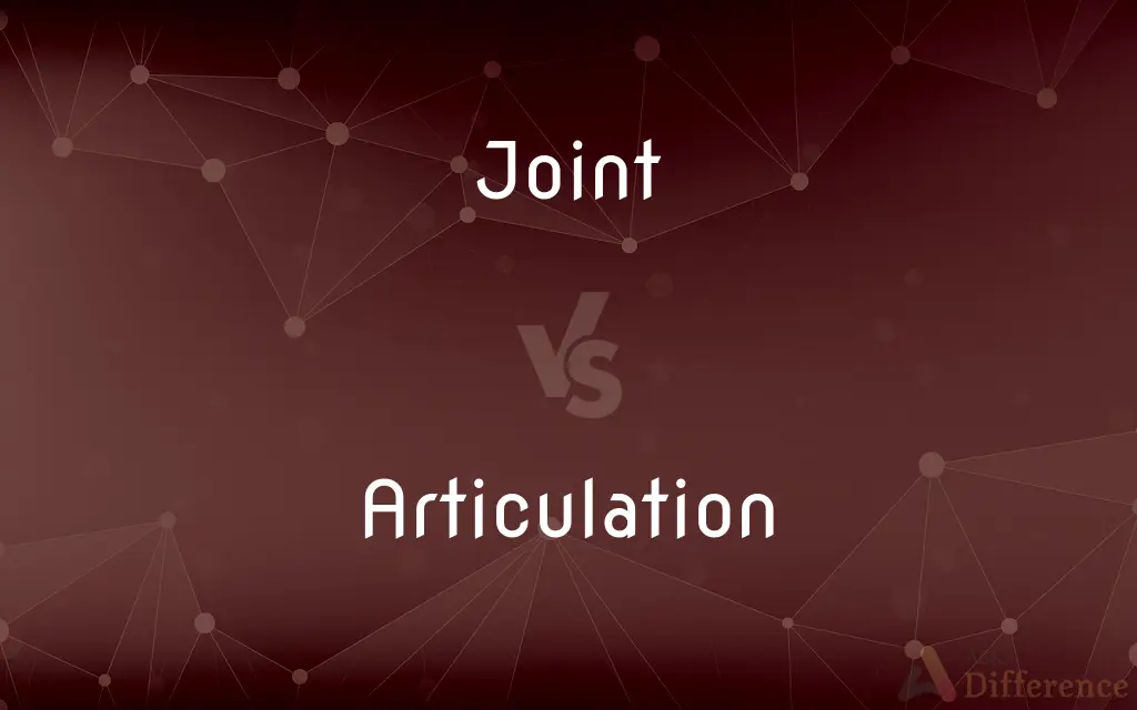 Joint vs. Articulation — What's the Difference?