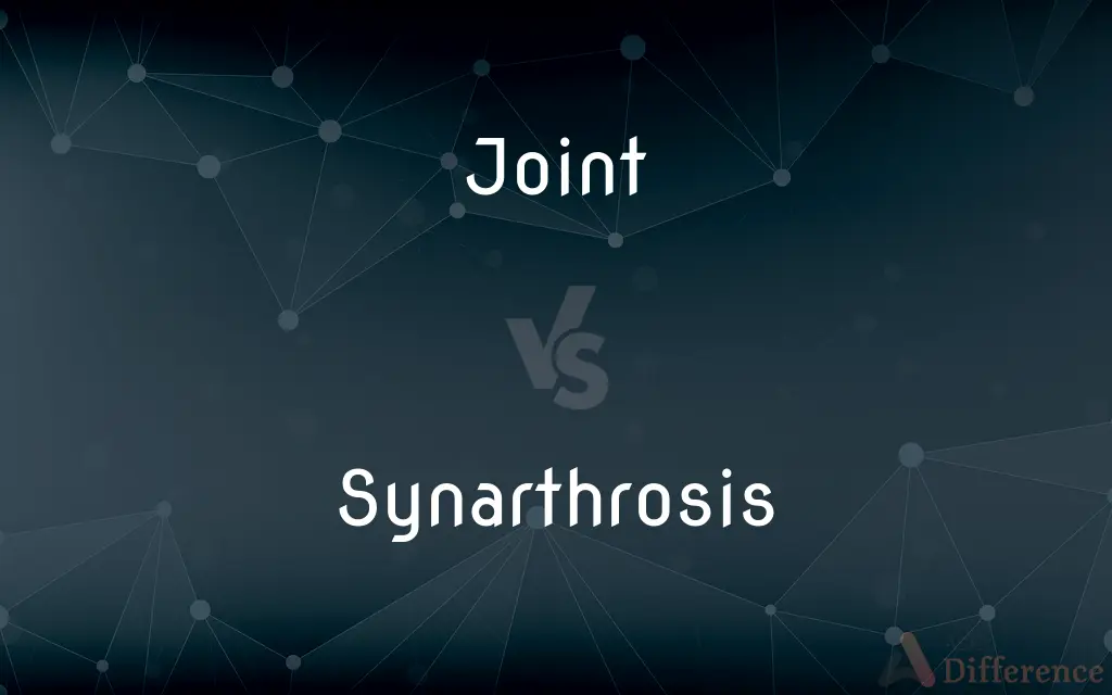 Joint vs. Synarthrosis — What's the Difference?