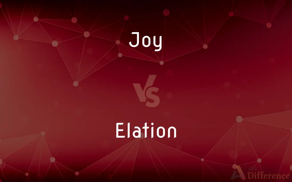 Joy vs. Elation — What's the Difference?