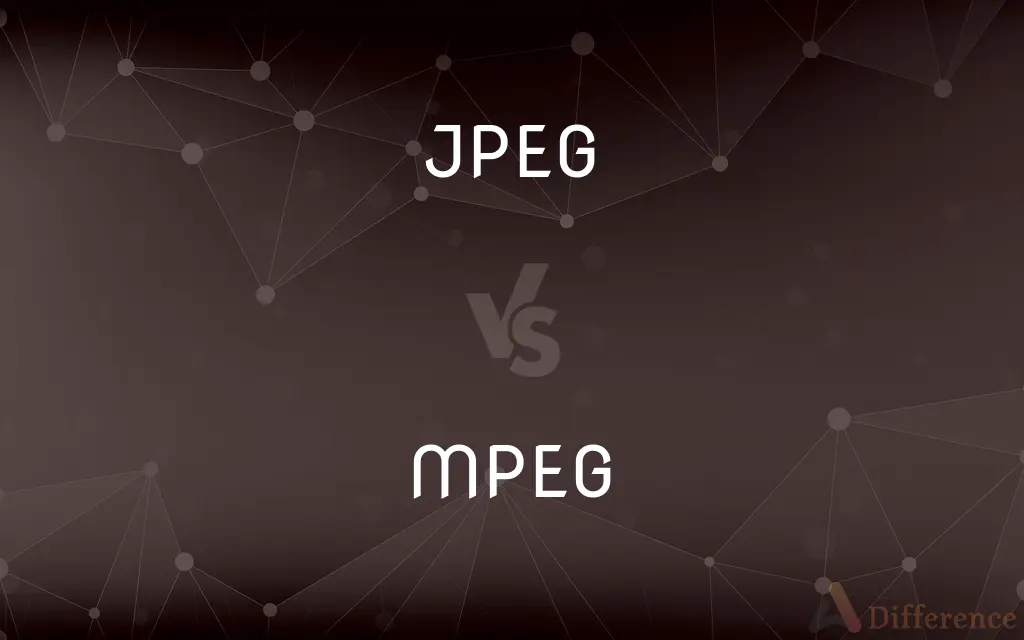 JPEG vs. MPEG — What's the Difference?