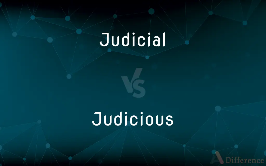 Judicial vs. Judicious — What's the Difference?