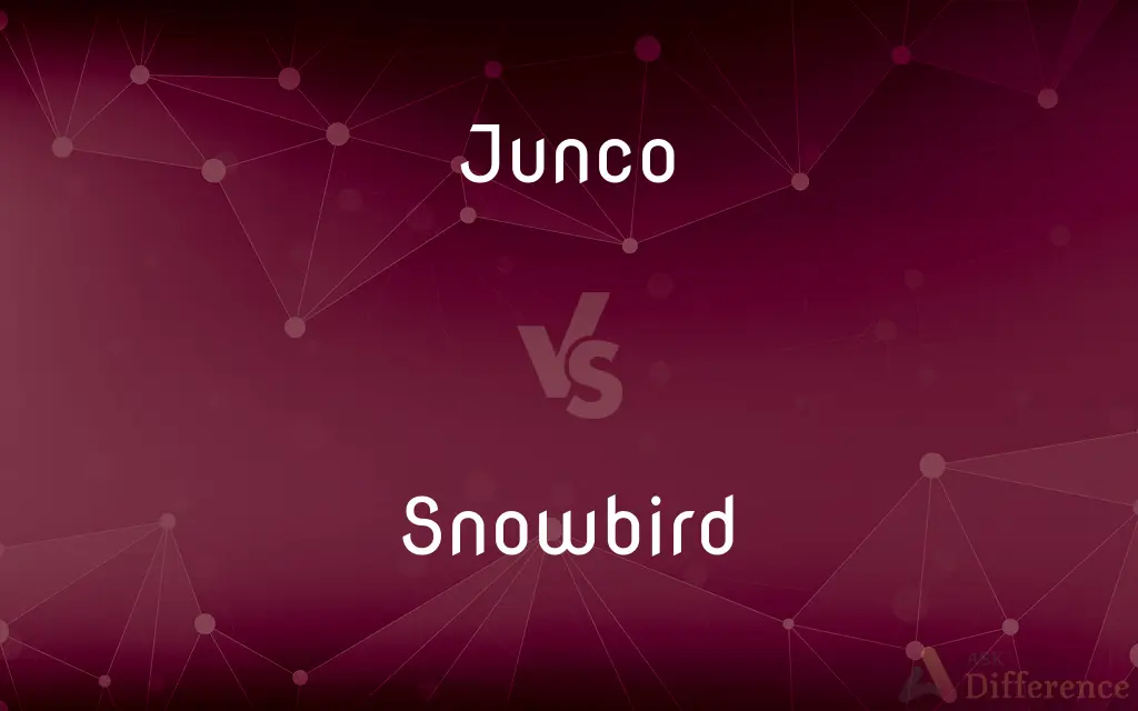 Junco vs. Snowbird — What's the Difference?