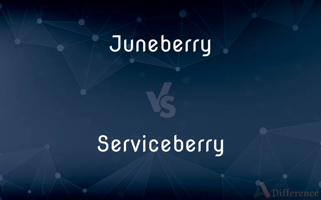 Juneberry vs. Serviceberry
