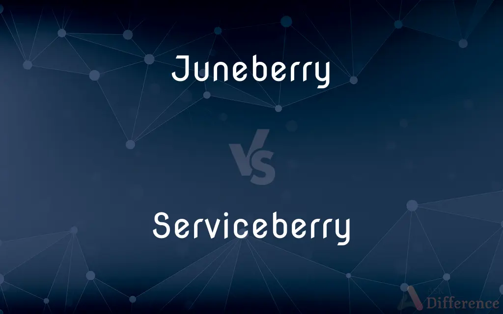 Juneberry vs. Serviceberry — What's the Difference?