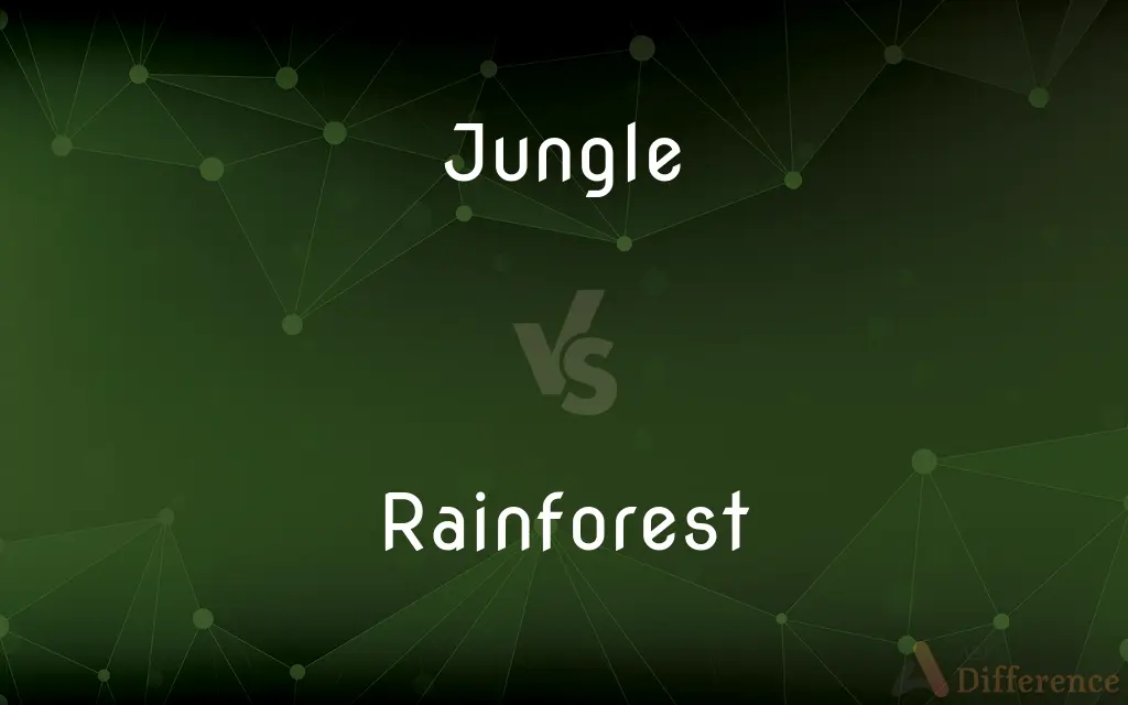 Jungle vs. Rainforest — What's the Difference?