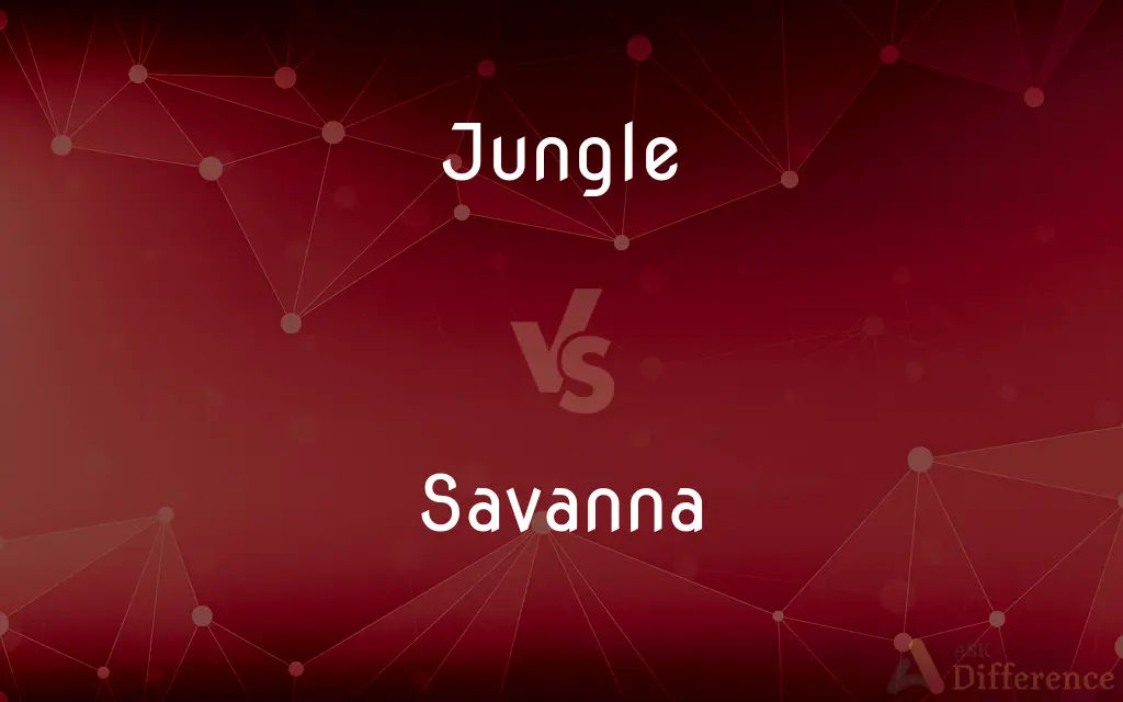Jungle vs. Savanna — What's the Difference?