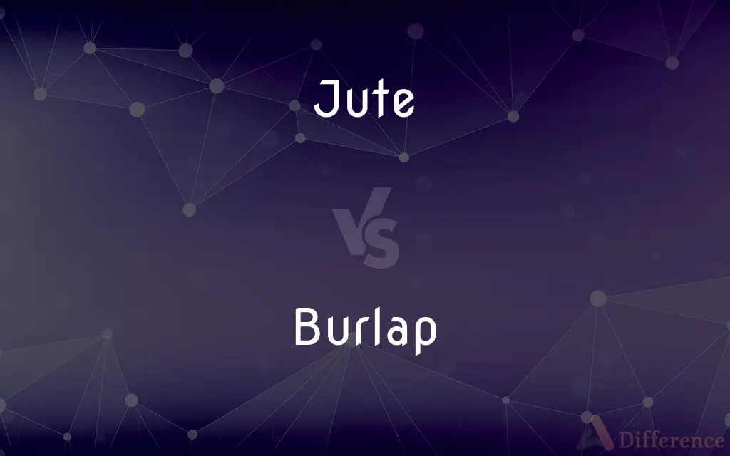 Jute vs. Burlap — What's the Difference?