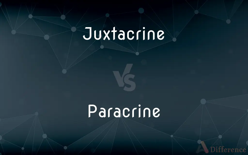 Juxtacrine vs. Paracrine — What's the Difference?