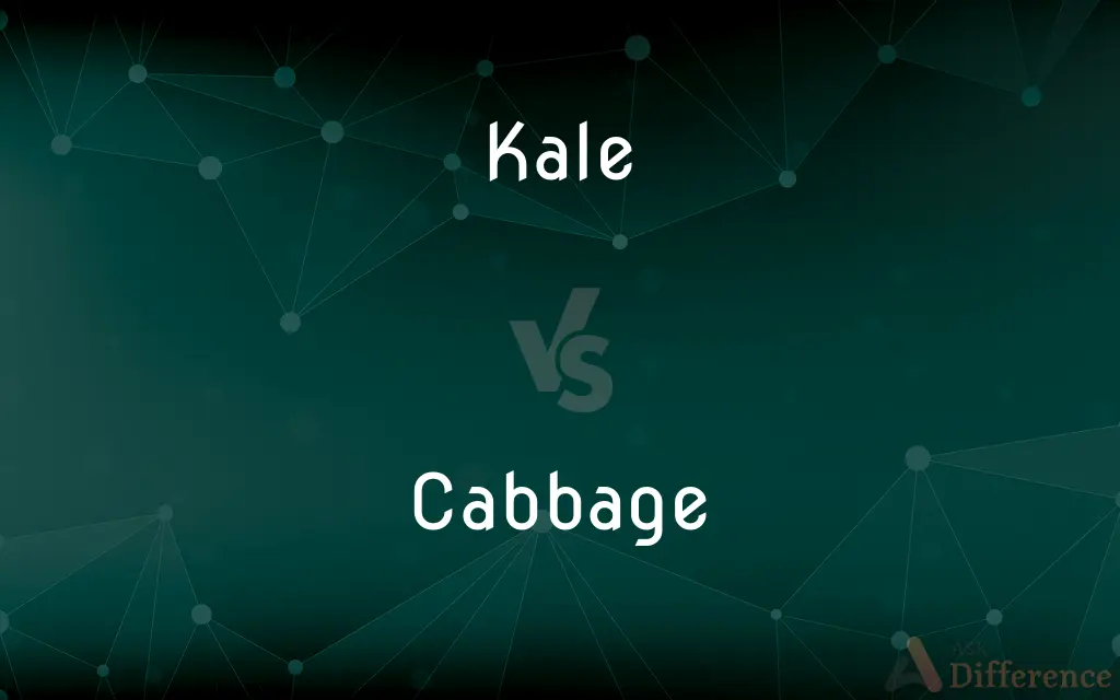 Kale vs. Cabbage — What's the Difference?