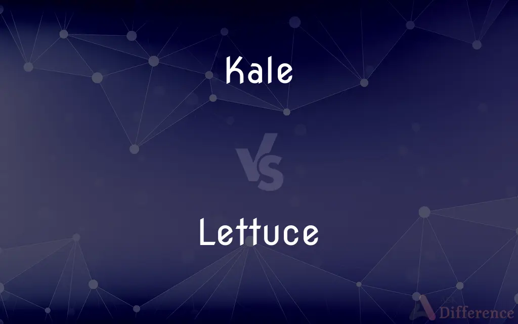 Kale vs. Lettuce — What's the Difference?
