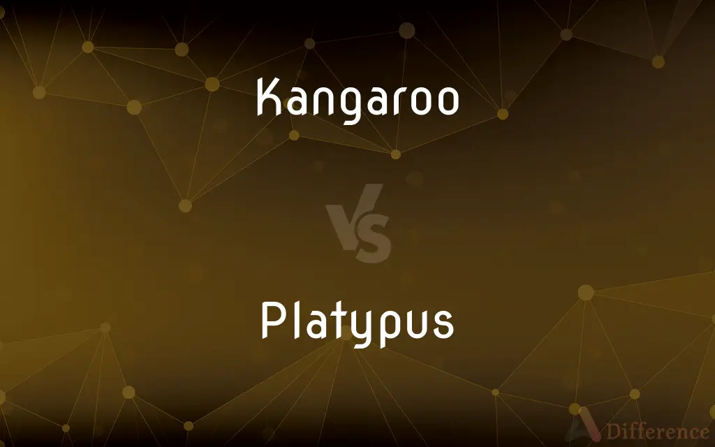 Kangaroo vs. Platypus — What's the Difference?