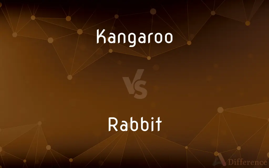 Kangaroo vs. Rabbit — What's the Difference?