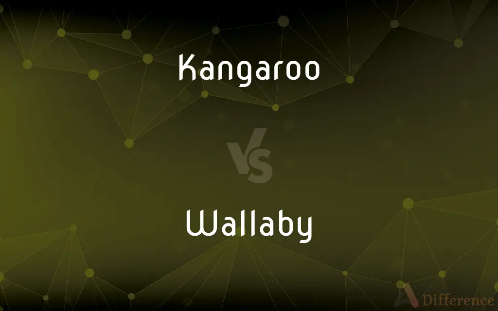 Kangaroo vs. Wallaby — What's the Difference?