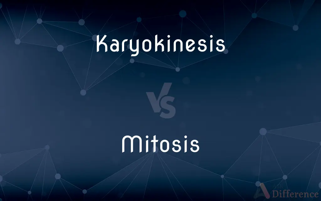 Karyokinesis vs. Mitosis — What's the Difference?