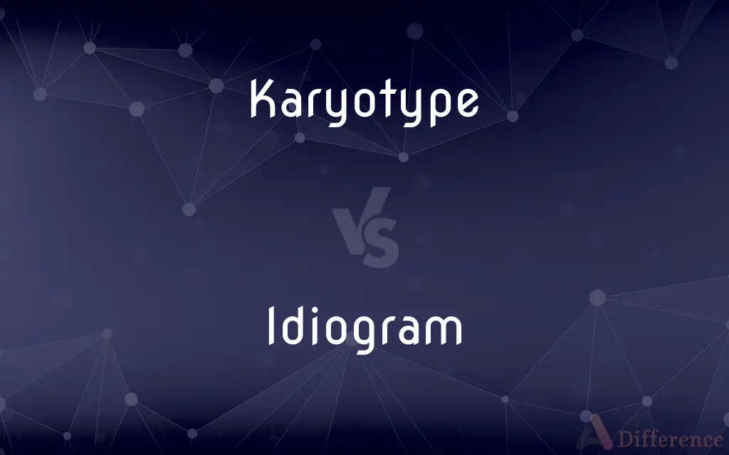 Karyotype vs. Idiogram — What's the Difference?