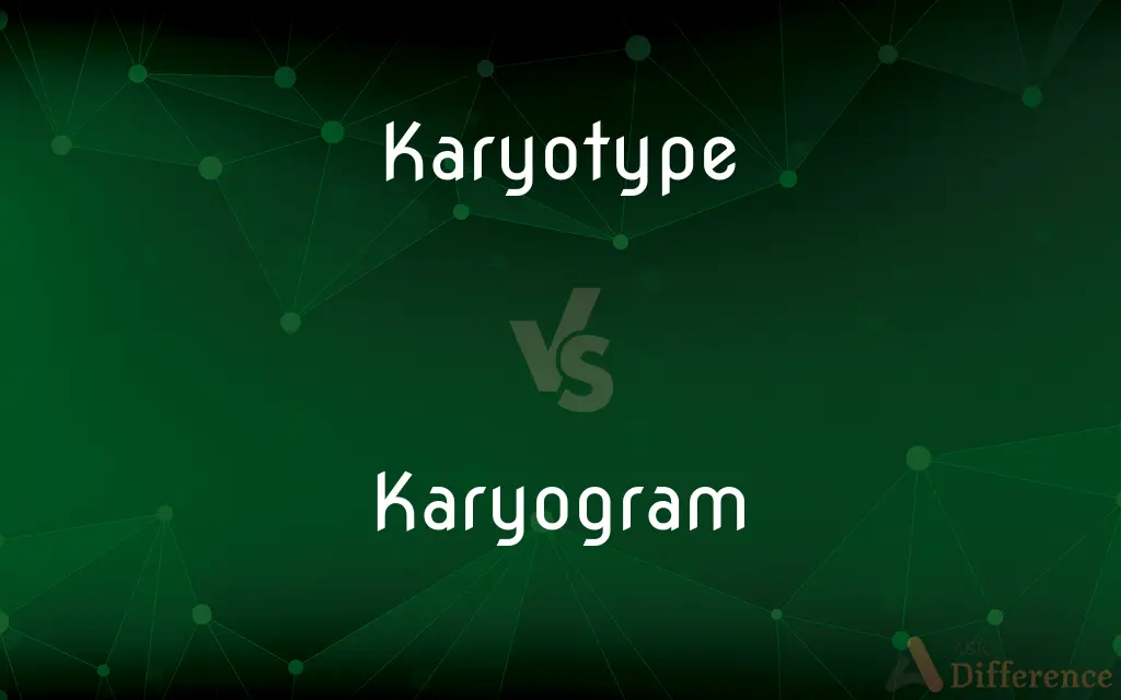 Karyotype vs. Karyogram — What's the Difference?