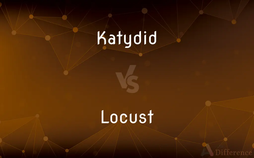 Katydid vs. Locust — What's the Difference?