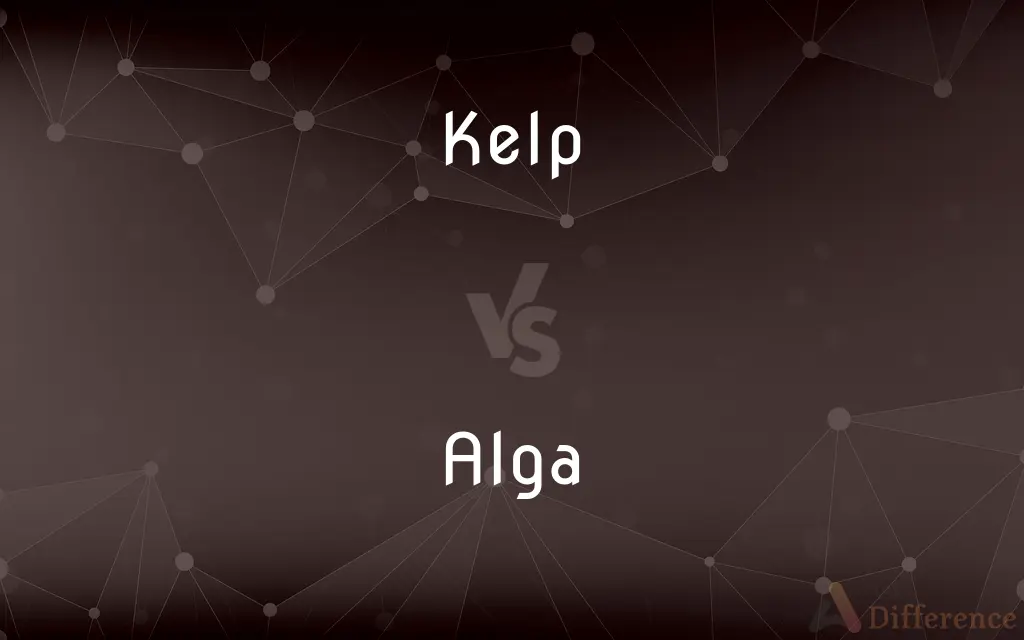 Kelp vs. Alga — What's the Difference?