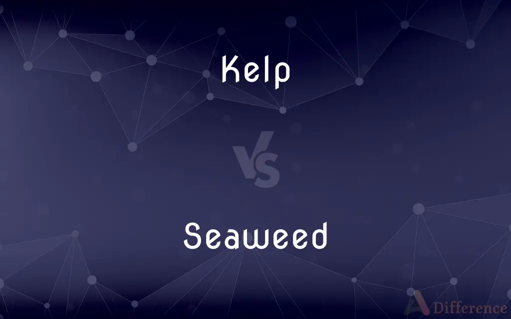 Kelp vs. Seaweed — What's the Difference?