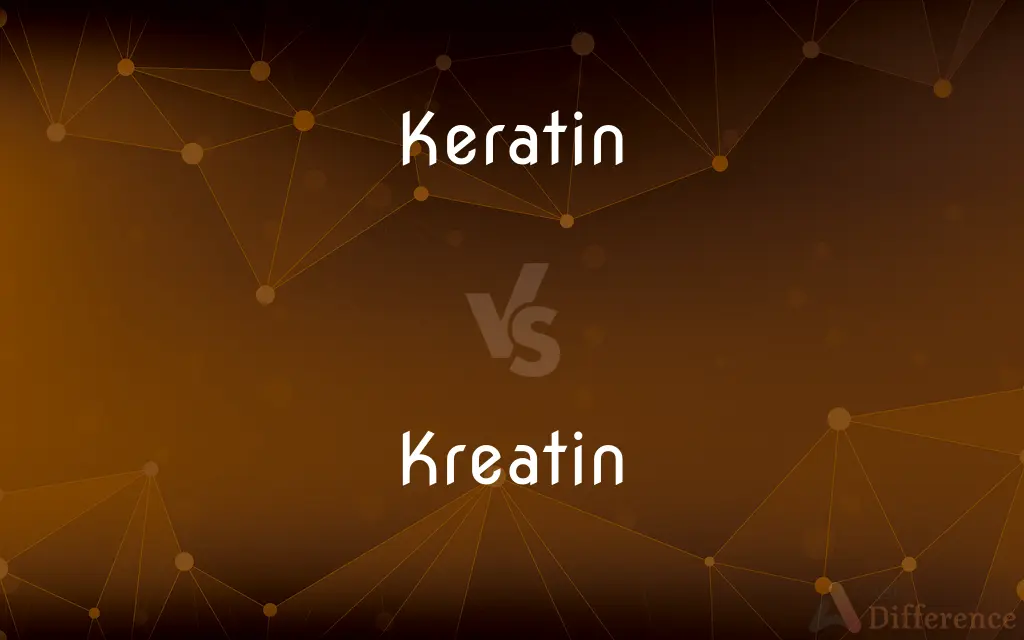 Keratin vs. Kreatin — What's the Difference?