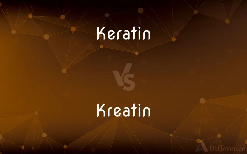 Keratin vs. Kreatin — Which is Correct Spelling?