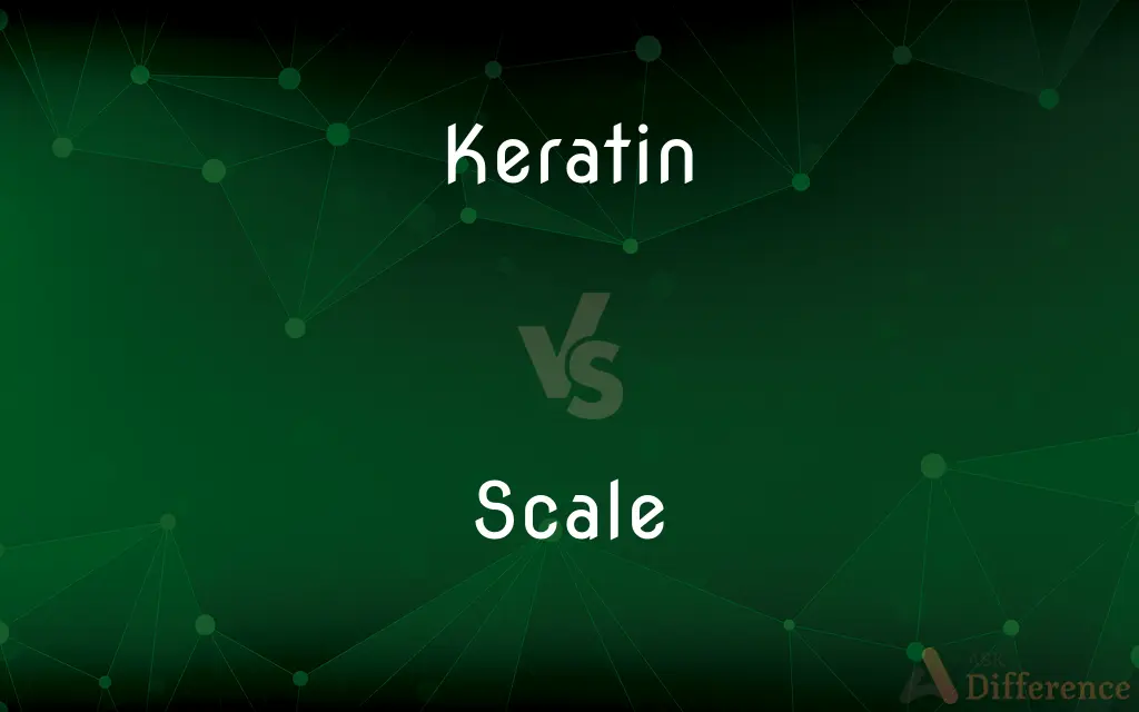 Keratin vs. Scale — What's the Difference?