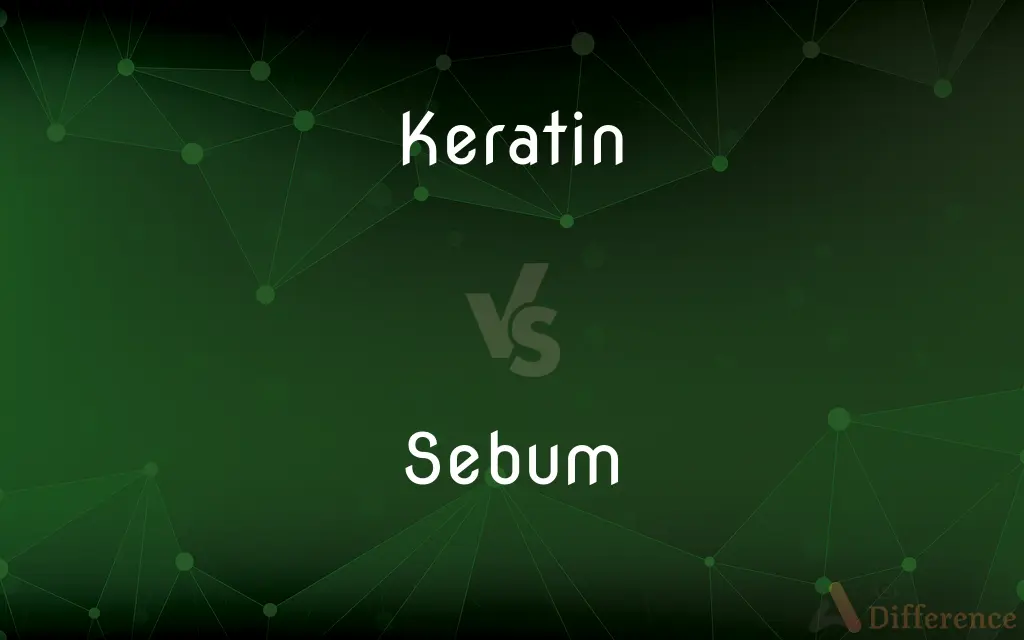 Keratin vs. Sebum — What's the Difference?