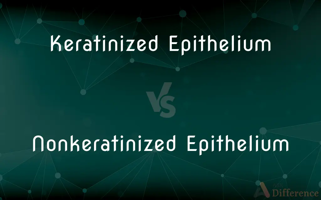 Keratinized Epithelium vs. Nonkeratinized Epithelium — What's the Difference?