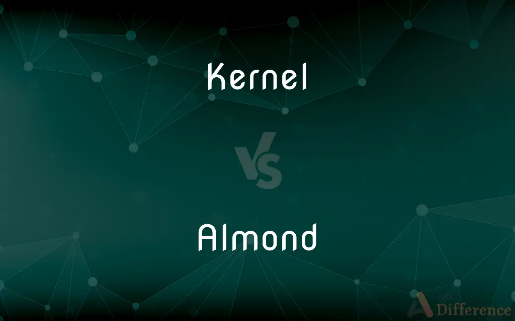 Kernel vs. Almond — What's the Difference?