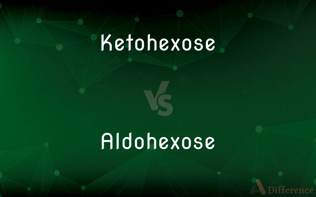 Ketohexose vs. Aldohexose — What's the Difference?