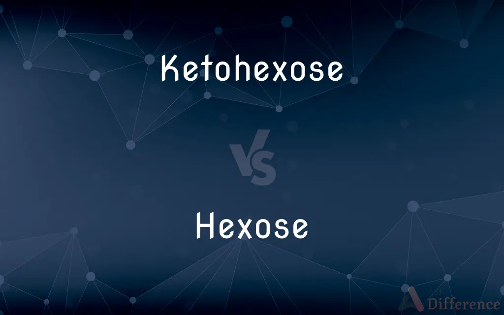 Ketohexose vs. Hexose — What's the Difference?
