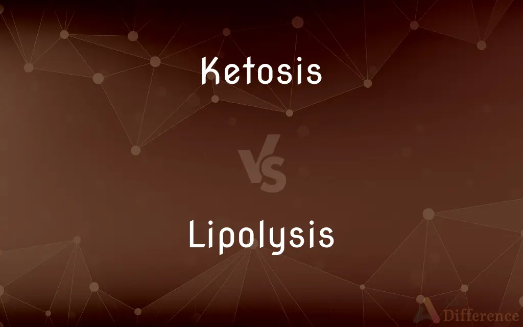 Ketosis vs. Lipolysis — What's the Difference?