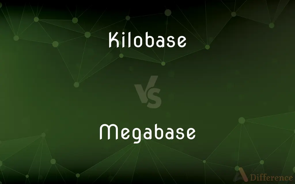 Kilobase vs. Megabase — What's the Difference?