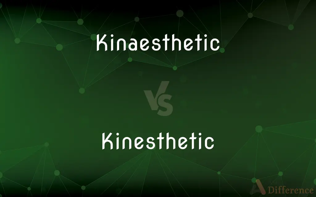 Kinaesthetic vs. Kinesthetic — What's the Difference?