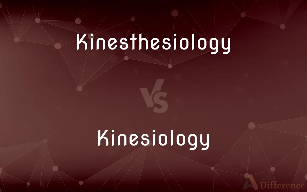 Kinesthesiology vs. Kinesiology — What's the Difference?