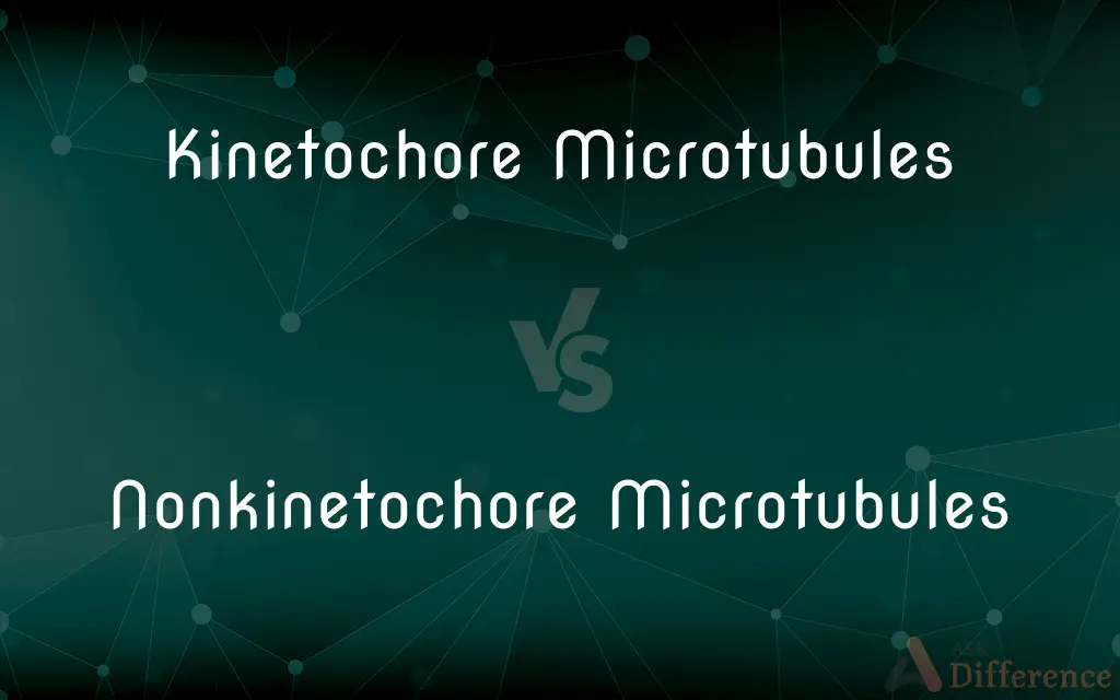 Kinetochore Microtubules vs. Nonkinetochore Microtubules — What's the Difference?