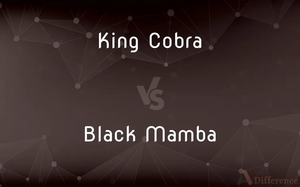 King Cobra vs. Black Mamba — What's the Difference?