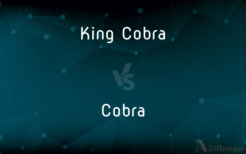King Cobra vs. Cobra — What's the Difference?