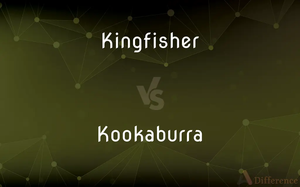 Kingfisher vs. Kookaburra — What's the Difference?
