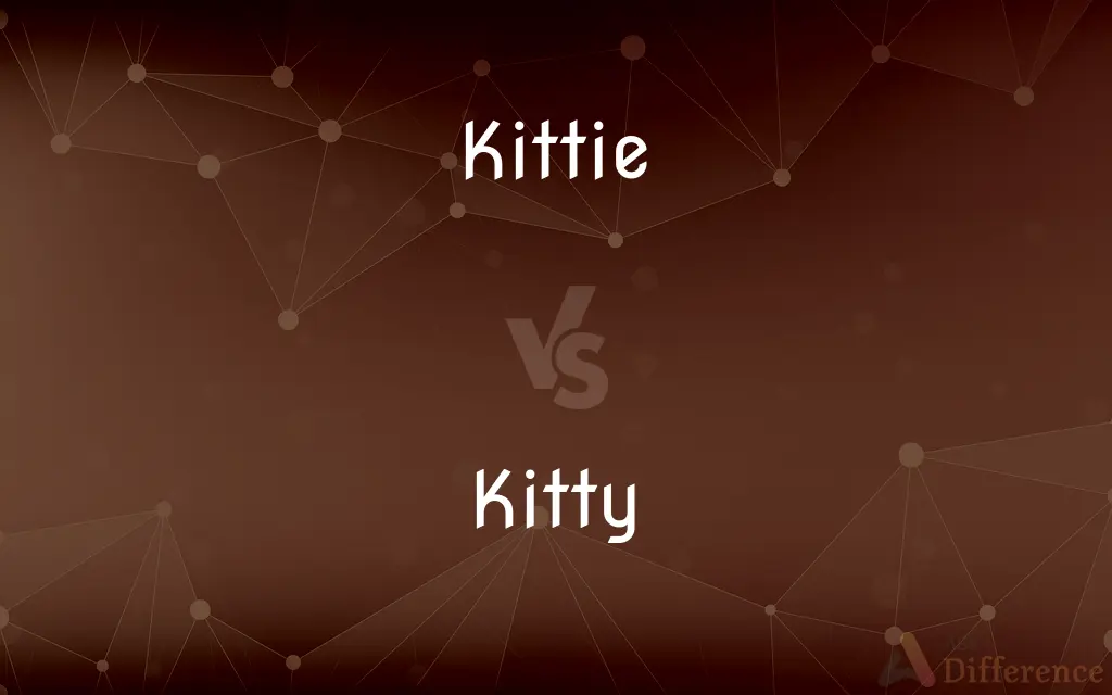 Kittie vs. Kitty — What's the Difference?