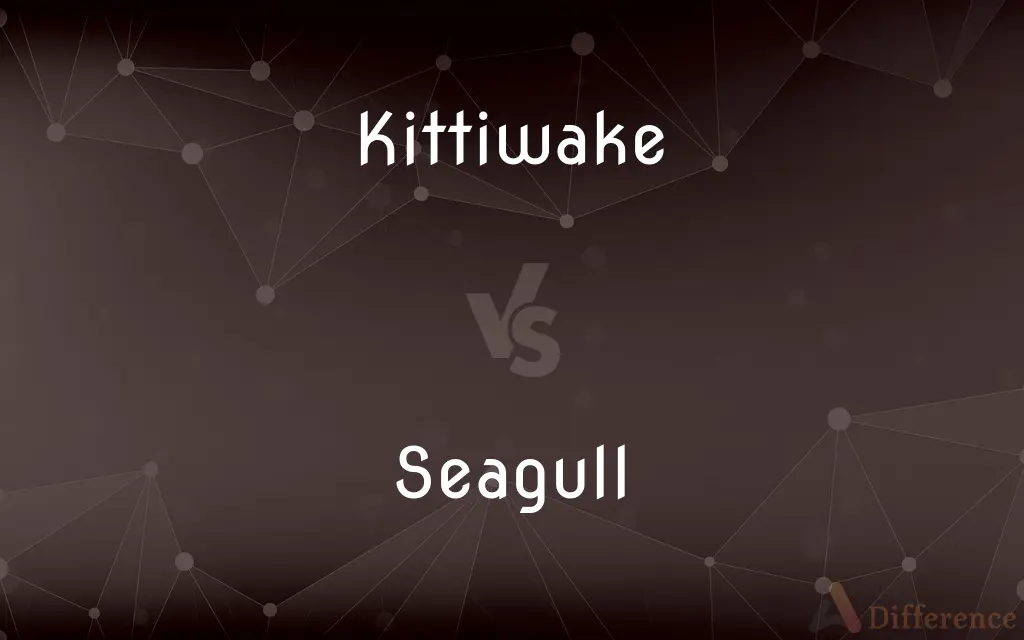 Kittiwake vs. Seagull — What's the Difference?