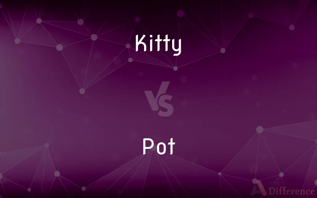 Kitty vs. Pot — What's the Difference?