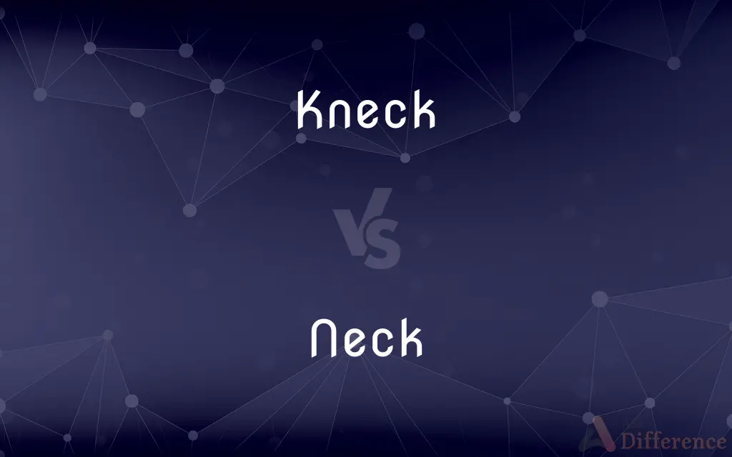 Kneck vs. Neck — Which is Correct Spelling?