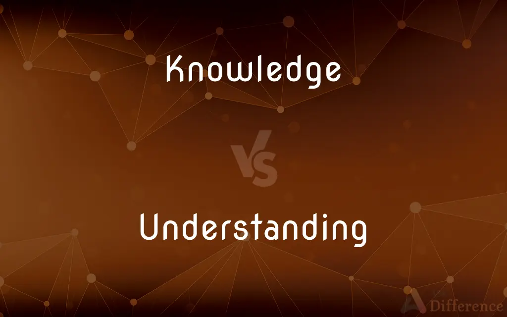 Knowledge vs. Understanding — What's the Difference?