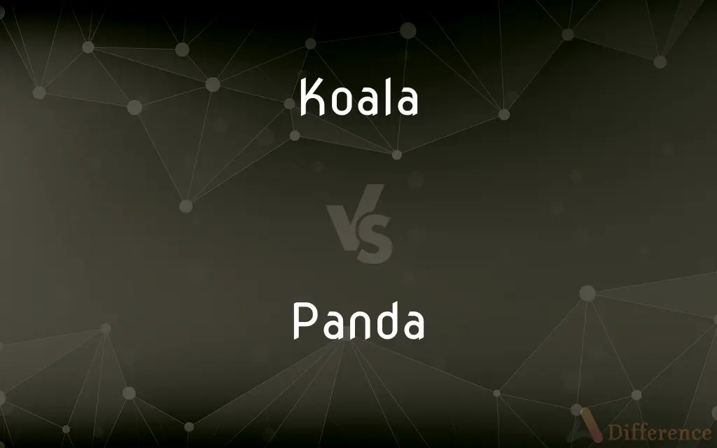 Koala vs. Panda — What's the Difference?