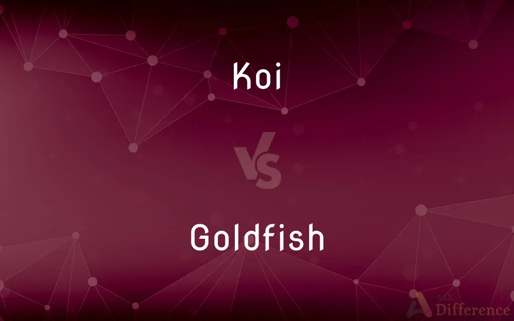 Koi vs. Goldfish — What's the Difference?