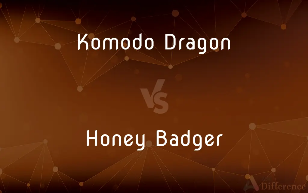 Komodo Dragon vs. Honey Badger — What's the Difference?